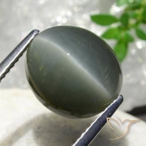 Quartz Œil de Chat Gris moyen naturelle ovale, 7.44 ct, Opaque