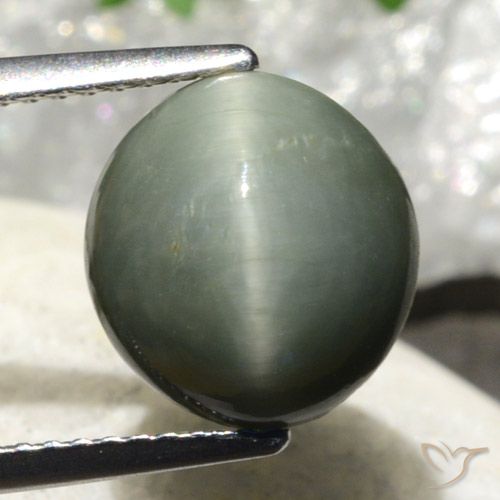 4.86ct Naturel Gris verdâtre Quartz Œil de Chat, ovale, Opaque