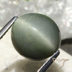 Quartz Œil de Chat Gris verdâtre naturelle ovale, 4.86 ct, Opaque