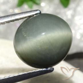 Quartz Œil de Chat Gris verdâtre naturelle ovale, 4.86 ct, Opaque