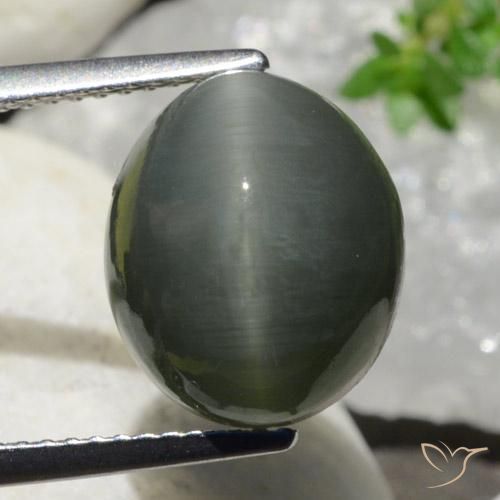 7.47ct Naturel Gris foncé Quartz Œil de Chat, ovale, Opaque