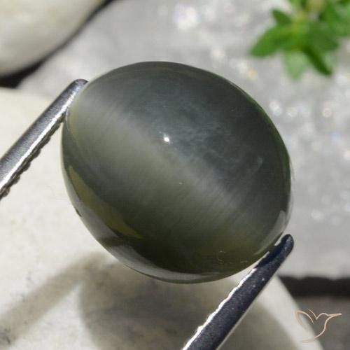 Quartz Œil de Chat Gris foncé naturelle ovale, 7.47 ct, Opaque