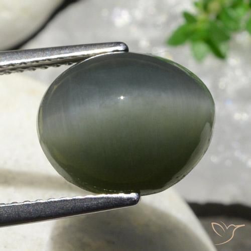 Quartz Œil de Chat Gris foncé naturelle ovale, 7.47 ct, Opaque