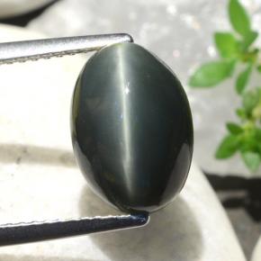 Quartz cat's eye vert naturelle coupe ovale, 5,06 ct, opaque