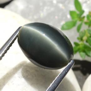 Quartz cat's eye vert naturelle coupe ovale, 5,06 ct, opaque