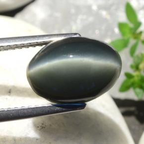 Quartz cat's eye vert naturelle coupe ovale, 5,06 ct, opaque