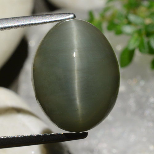 Quartz Œil de Chat Vert chaud naturelle Coupe ovale, 8.34 ct, Opaque