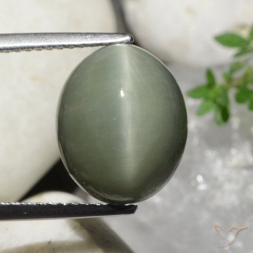 7.32ct Naturel Vert moyen Quartz Œil de Chat, ovale, Opaque