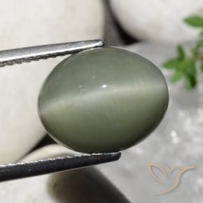 Quartz Œil de Chat Vert moyen naturelle ovale, 7.32 ct, Opaque