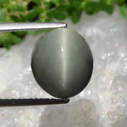 6.02ct Naturel Gris verdâtre Quartz Œil de Chat, ovale, Opaque