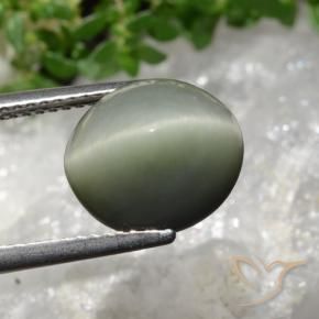 Quartz Œil de Chat Gris verdâtre naturelle ovale, 6.02 ct, Opaque