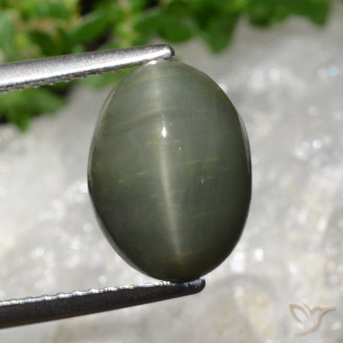 5.98ct Naturel Vert moyen Quartz Œil de Chat, ovale, Opaque