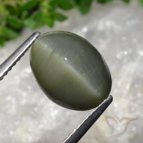 Quartz Œil de Chat Vert moyen naturelle ovale, 5.98 ct, Opaque
