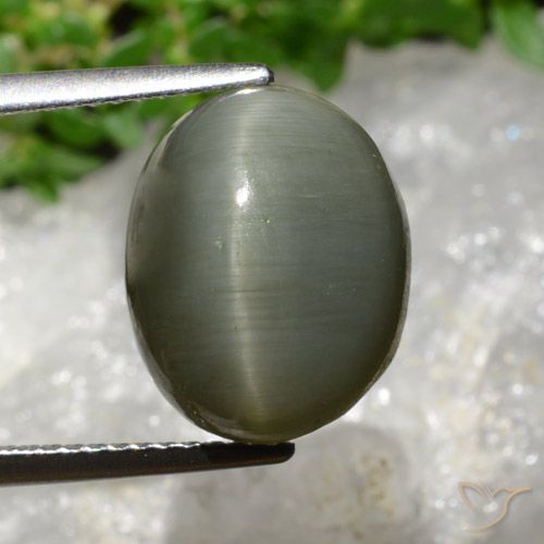 8.13ct Naturel Gris vert Quartz Œil de Chat, ovale, Opaque