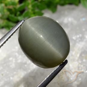 Quartz Œil de Chat Gris vert naturelle ovale, 8.13 ct, Opaque