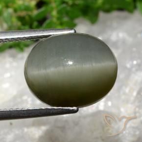 Quartz Œil de Chat Gris vert naturelle ovale, 8.13 ct, Opaque