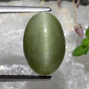 Quartz Œil de Chat Vert moyen naturelle Coupe ovale, 3.88 ct, Opaque