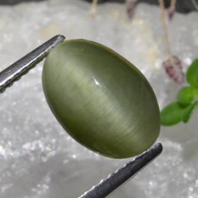 Quartz Œil de Chat Vert moyen naturelle Coupe ovale, 3.88 ct, Opaque