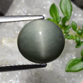 Quartz Œil de Chat Gris moyen naturelle Coupe ovale, 2.83 ct, Opaque