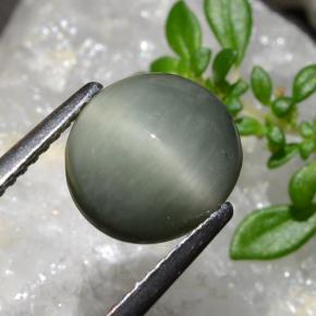 Quartz Œil de Chat Gris moyen naturelle Coupe ovale, 2.83 ct, Opaque