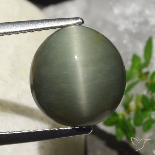 6.23ct Naturel Vert chaud Quartz Œil de Chat, ovale, Opaque
