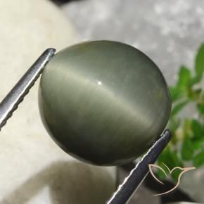 Quartz Œil de Chat Vert chaud naturelle ovale, 6.23 ct, Opaque