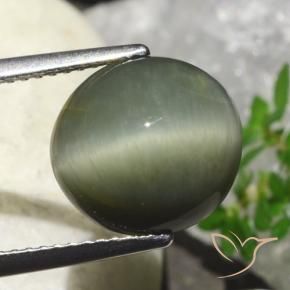 Quartz Œil de Chat Vert chaud naturelle ovale, 6.23 ct, Opaque
