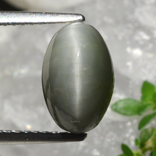 Quartz Œil de Chat Gris moyen naturelle Coupe ovale, 2.99 ct, Opaque