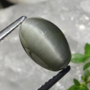 Quartz Œil de Chat Gris moyen naturelle Coupe ovale, 2.99 ct, Opaque