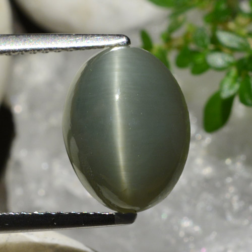 Quartz Œil de Chat Gris verdâtre naturelle Coupe ovale, 4.96 ct, Opaque
