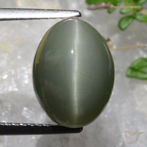 6.37ct Naturel Gris verdâtre Oeil de Chat Quartz, ovale, Opaque