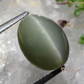 Quartz Œil de Chat Gris verdâtre naturelle ovale, 6.37 ct, Opaque