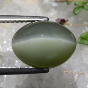 Quartz Œil de Chat Gris verdâtre naturelle ovale, 6.37 ct, Opaque
