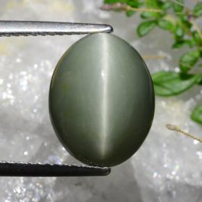 Quartz Œil de Chat Vert grisâtre naturelle Coupe ovale, 6.74 ct, Opaque
