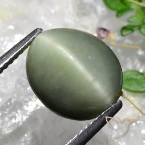 Quartz Œil de Chat Vert mousse grisâtre naturelle ovale, 5.84 ct, Opaque