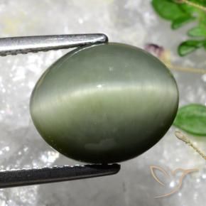 Quartz Œil de Chat Vert mousse grisâtre naturelle ovale, 5.84 ct, Opaque
