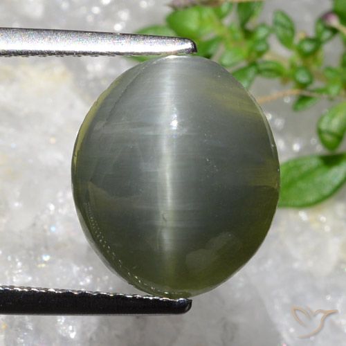 5.35ct Naturel Gris verdâtre Quartz Œil de Chat, ovale, Opaque