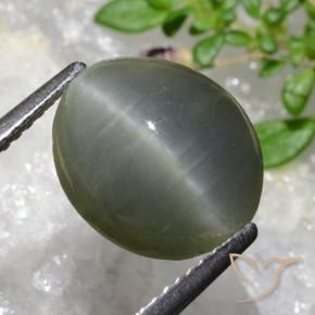Quartz Œil de Chat Gris verdâtre naturelle ovale, 5.35 ct, Opaque