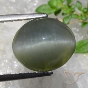 Quartz Œil de Chat Gris verdâtre naturelle ovale, 5.35 ct, Opaque