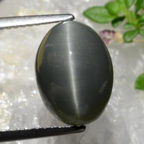 Quartz Œil de Chat Gris foncé naturelle Coupe ovale, 5.41 ct, Opaque