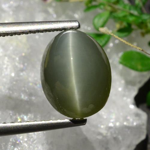 Quartz Œil de Chat Vert moyen naturelle Coupe ovale, 3.92 ct, Opaque