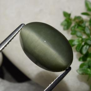 Quartz Œil de Chat Vert terreux naturelle Coupe ovale, 6.44 ct, Opaque