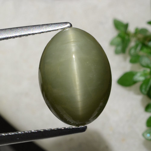 Quartz œil de chat vert chaud naturelle coupe ovale, 6,21 ct, opaque