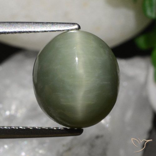 6.79ct Naturel Vert terreux Oeil de Chat Quartz, ovale, Opaque