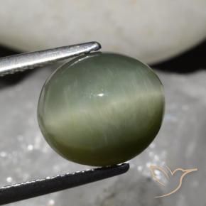 Quartz Œil de Chat Vert terreux naturelle ovale, 6.79 ct, Opaque