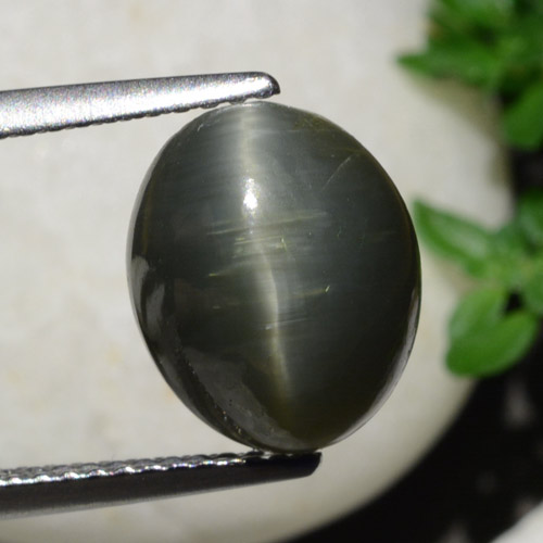 Quartz Œil de Chat Gris acier naturelle Coupe ovale, 5.40 ct, Opaque