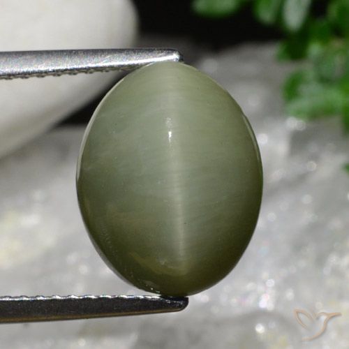 6.34ct Naturel Vert militaire Oeil de Chat Quartz, ovale, Opaque