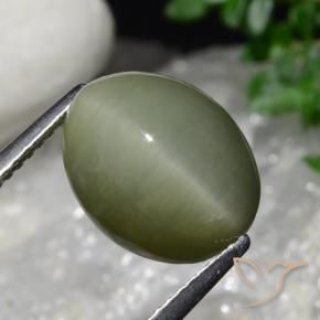 Quartz Œil de Chat Vert militaire naturelle ovale, 6.34 ct, Opaque