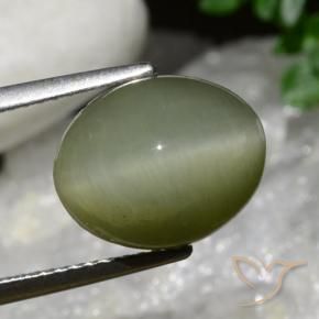 Quartz Œil de Chat Vert militaire naturelle ovale, 6.34 ct, Opaque