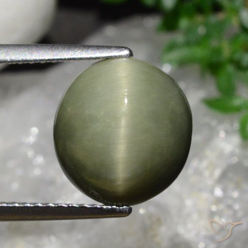 5.58ct Naturel Vert militaire Quartz Œil de Chat, ovale, Opaque